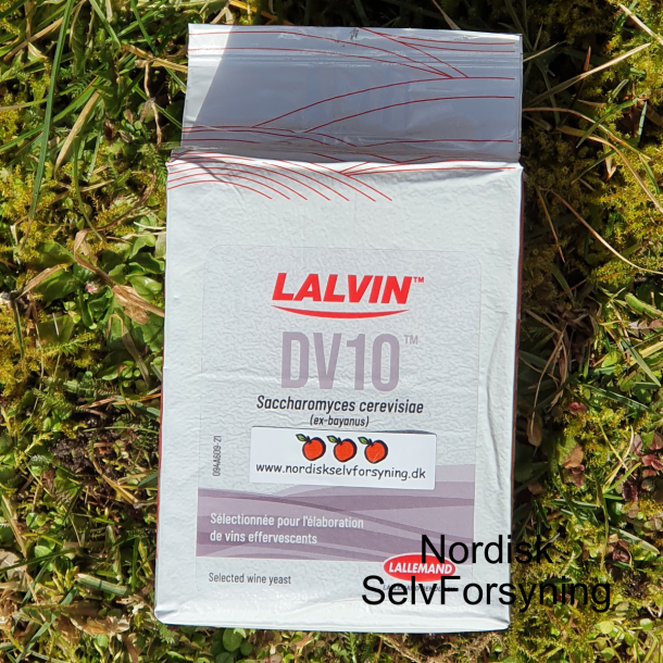 LALVIN DV10  - Gær Fra Lallemand