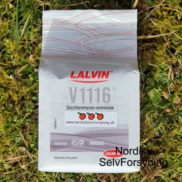 Lalvin K1 V1116 - Gr fra Lallemand