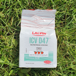 Lalvin ICV D47 Gjr fra Lallemand