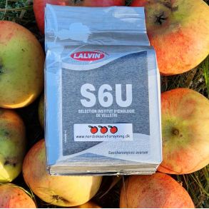 LALVIN S6U - Gr fra Lallemand