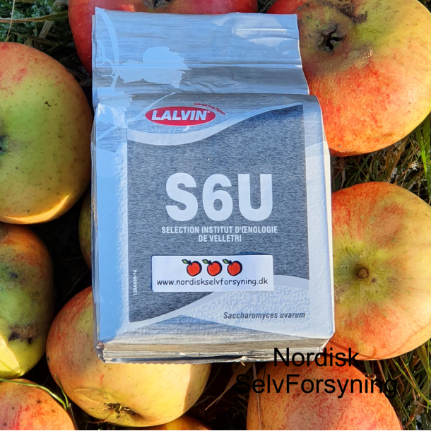 LALVIN S6U - Gjr fra Lallemand