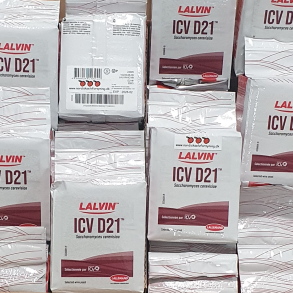 Lalvin ICV-D21 Lallemand