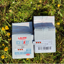 Lalvin ICV OKAY - Gjr fra Lallemand