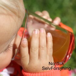 Mosteri Komplet. blepresse Bgekurv 20 l. + blekvrn 15 l.