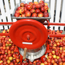 Mosteri Komplet. blepresse Rustfri 20 l. + blekvrn 15 l.