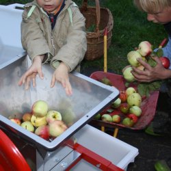 Mosteri Komplett - Eplepresse Bketr 11 l. + Eplekvern 15 l.