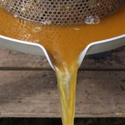 Mosteri Komplett. 10 l. Rustfri Eplepresse + 15 l. Fruktkvern