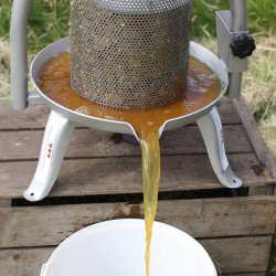 Frugtpresser rustfri, 10 liter