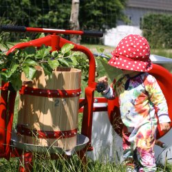 Eplepresse Med Kurv i Bketre - Kapasitet 20 liter