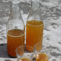 Glasflasker Str. 1,0 Liter 24 stk. Leveres Inklusiv Lg