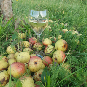 Grpakke til Previn No. #1