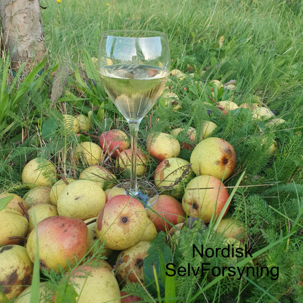 Grpakke til Previn No. #1