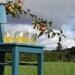 Askorbinsyre Til Eplemost, pulverform