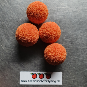 Pasteurisering, rengring spiralpasteur