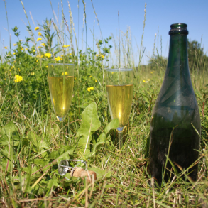 Pt-Nat Ciderfremstilling - Komplet Kit 30 l.