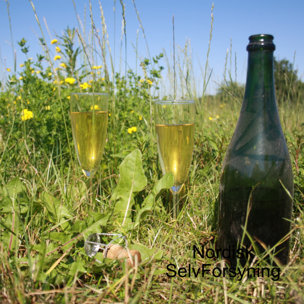 Pt-Nat Ciderfremstilling - Komplet Kit 30 l.