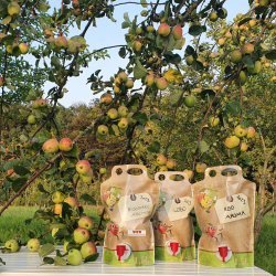 Pouch til eplemost, 1,5 l. med eplemotiv, 50 stk.