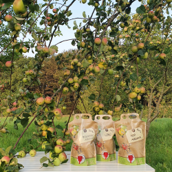 Pouch til eplemost, 1,5 l. med eplemotiv, 10 stk. 