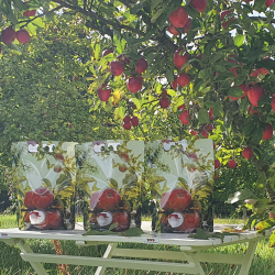 Pouch Emballasje, 3 liter, 20 stk.