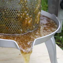 Honningpresse, 10 l. Rustfri og Tiltbar