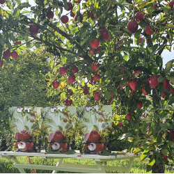 Pouch Emballasje, 3 liter, 10 stk.