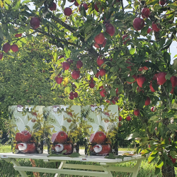 Pouch Emballasje, 3 liter, 50 stk.