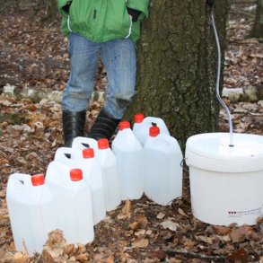 Birkesaft tapning, 10 l. m. emballage 