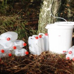 Tap din egen birkesaft, 26 l. m. emballage