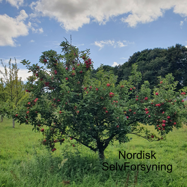 Ciderbletr - Three Counties