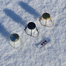 Trdholder til champagneprop, sortfarvet