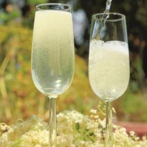 Hyldeblomstchampagne m. Opskrift og Bryggrej, 24 l. Komplet