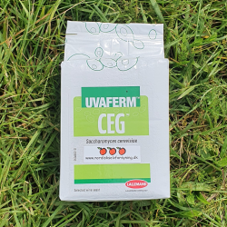 Uvaferm CEG - Lallemand