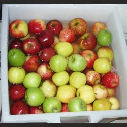 Plastkar - Fdevareegnet - 60 l.